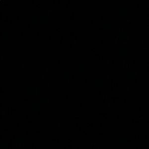 Meet your Posher, Arianna